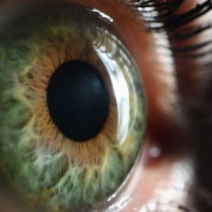 Amplitude de acomodação: o que é e como funciona