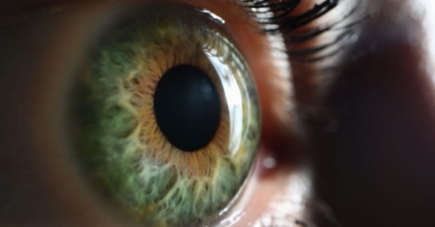 Amplitude de acomodação: o que é e como funciona