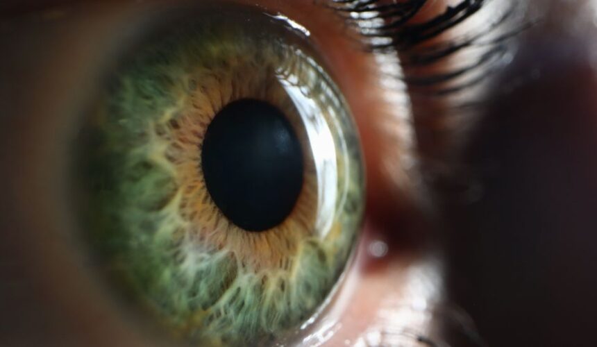 Amplitude de acomodação: o que é e como funciona Amplitude de acomodação: o que é e como funciona