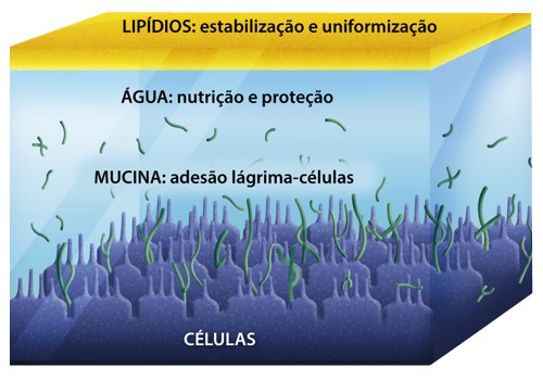 composição das lágrimas