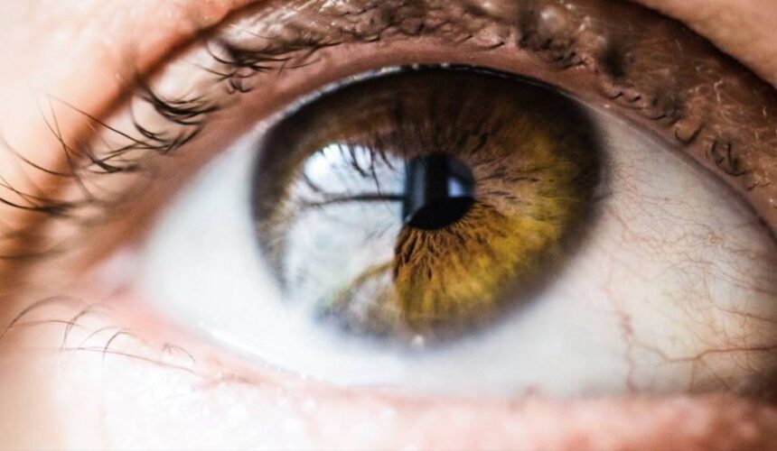 Filme lacrimal – conheça a sua importância no combate às doenças oculares Filme lacrimal – conheça a sua importância no combate às doenças oculares